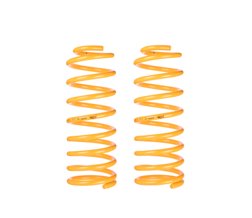 RAISED KING COIL SPRINGS