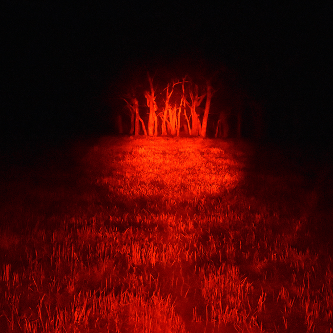 Blitz 240mm Handheld Filter  Red Spot