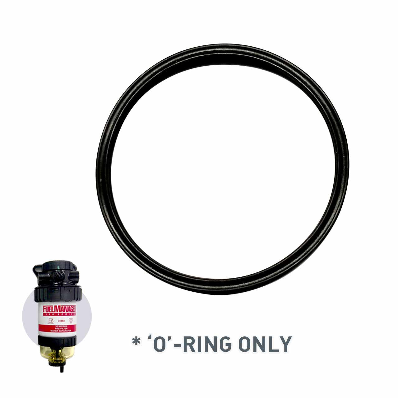 Replacement O-Ring 28869 for Fuel Manager FM100 Header Top